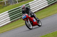 Vintage-motorcycle-club;eventdigitalimages;mallory-park;mallory-park-trackday-photographs;no-limits-trackdays;peter-wileman-photography;trackday-digital-images;trackday-photos;vmcc-festival-1000-bikes-photographs